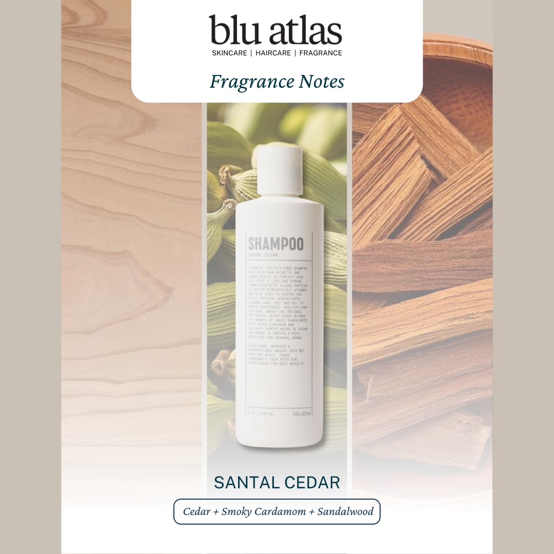 Blu Atlas Men's Natural Shampoo – Organic, Sulfate-Free, Paraben-Free – Deep Cleansing & Hydrating – Santal Cedar Scent – Made in America – 8 oz