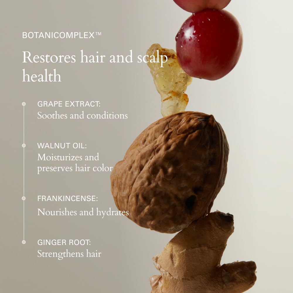 RŌZ Foundation Shampoo For All Hair Types & Textures | Hydrating, Balancing & Cleansing For Healthy Hair| Vegan, Color-Safe, Free of Silicone, Paraben, SLS | Strengthens & Nourishes 10.1 oz/300 mL