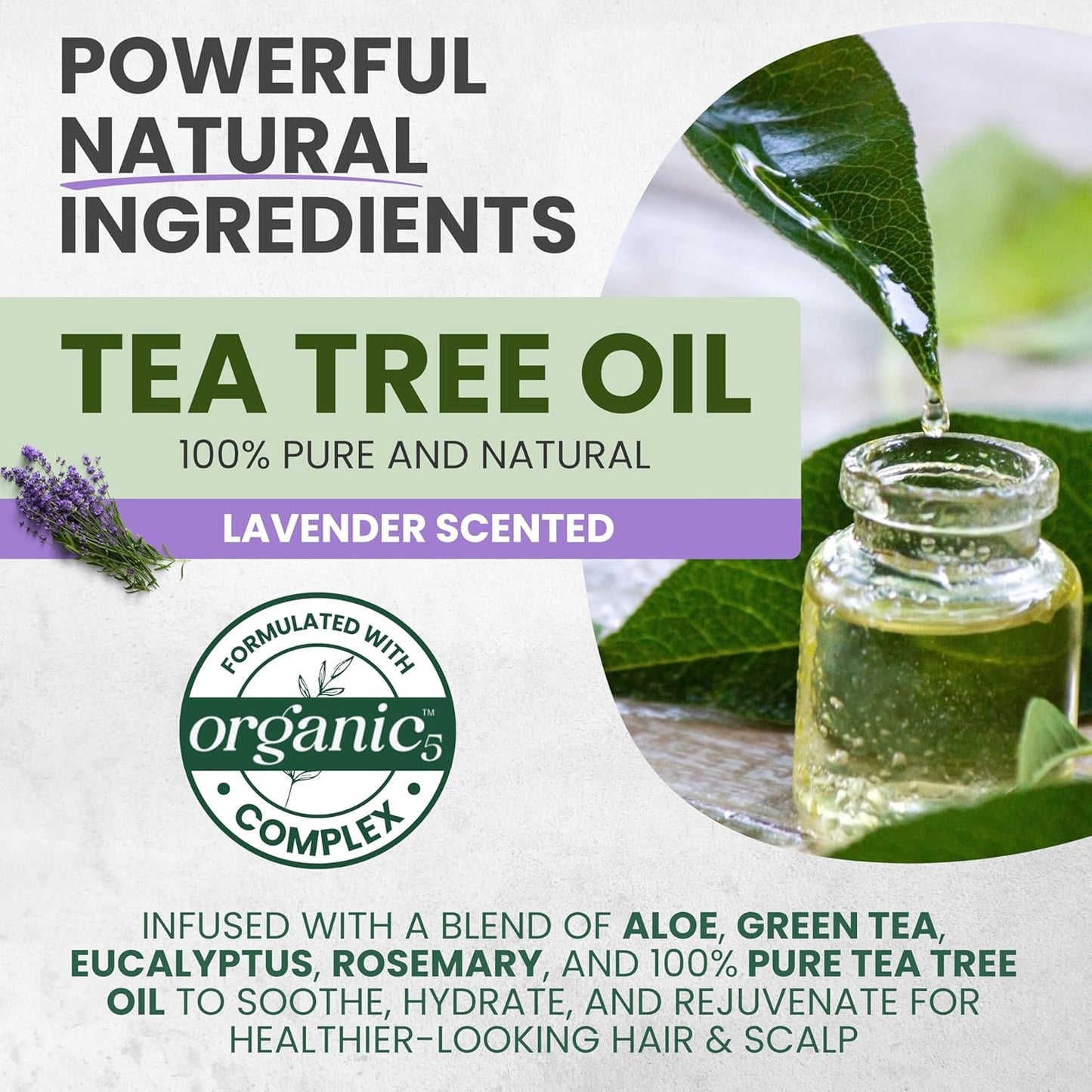 Tea Tree Lavender Shampoo with Mint & Rosemary, Cleanses, Cools & Soothes Dry, Itchy Scalp, Sulfate & Paraben-Free, For All Hair Types 16 fl oz