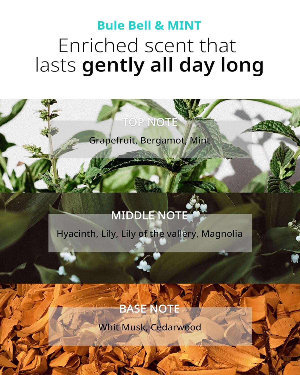 SAN TTEUT Scalp Refreshment Hair Conditioner - pH 5.5 Keratin & Protein Perfumed Conditioner for Hair Loss Relief, Scalp Clarifying, Mint & White Musk Scent - Paraben Free - 17 fl.oz